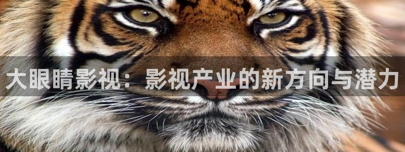 第九成人影院