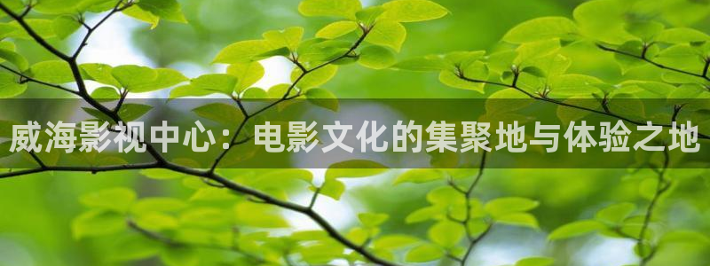 神马电影院达达兔第九：威海影视中心：电影文化的集聚地与体验之地