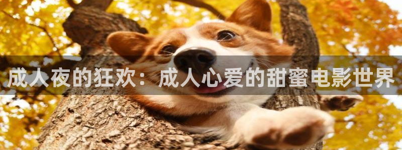 第九号影院