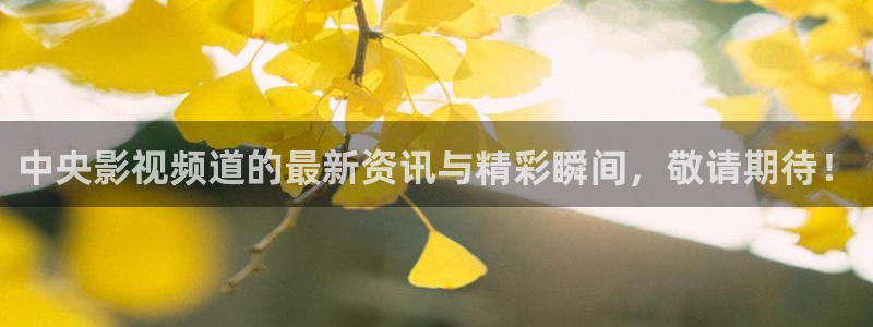 神马影院第九超神影院：中央影视频道的最新资讯与精彩瞬间，敬请期待！