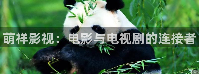 第九电影院免费观看：萌祥影视：电影与电视剧的连接者