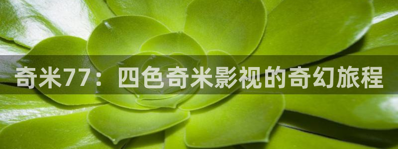 第九八戒影院：奇米77：四色奇米影视的奇幻旅程