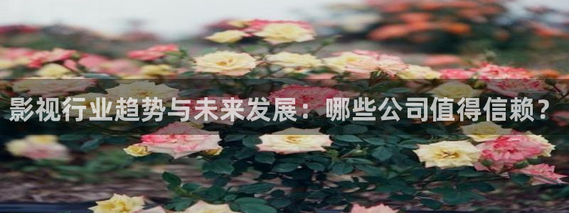 神马影院第九不卡