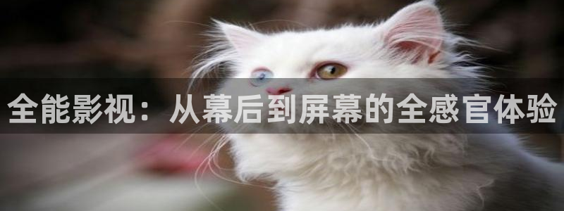理论电影第九影院