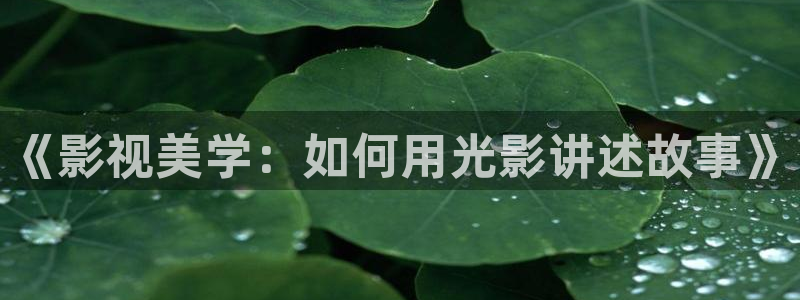 神马第九不卡电影：《影视美学：如何用光影讲述故事》