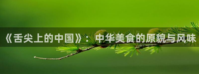 神马电影被窝影院第九电影网